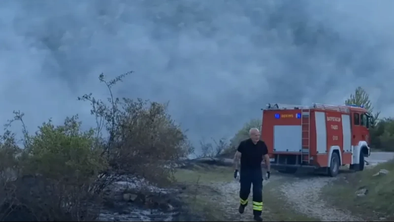 Izgorelo 20 hektara zemlje: Požar u Nišu progutao barake i plastenike (VIDEO) Izgorelo 20 hektara zemlje: Požar u Nišu progutao barake i plastenike (VIDEO)