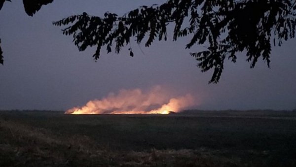 Paljenje strnjike izazvalo požar kod Sremske Mitrovice, vatrogasci hitno intervenisali Paljenje strnjike izazvalo požar kod Sremske Mitrovice, vatrogasci hitno intervenisali