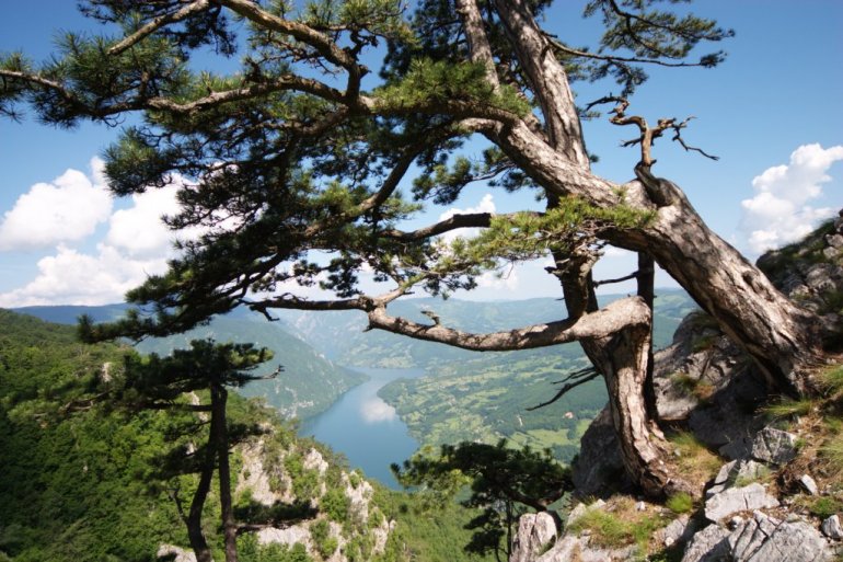 TOS promoviše letovanje u Srbiji: Leto na prelepim planinama naše zemlje