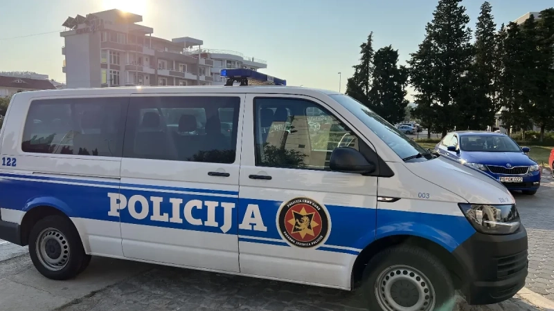 Amerikanac šenlučio nasred gradskog trga: Drama u Plavu, reagovala policija Amerikanac šenlučio nasred gradskog trga: Drama u Plavu, reagovala policija