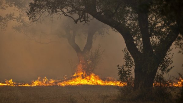 Borba sa požarima na području Trebinja i Nevesinja još traje Borba sa požarima na području Trebinja i Nevesinja još traje