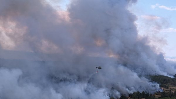 Broj žarišta u Deliblatskoj peščari sveden sa 64 na 3 Broj žarišta u Deliblatskoj peščari sveden sa 64 na 3