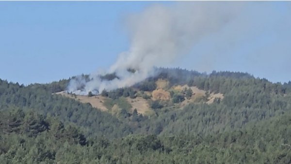 Gornji Milanovac: Gori šuma u Družetićima, meštani se nadaju helikopterima Gornji Milanovac: Gori šuma u Družetićima, meštani se nadaju helikopterima