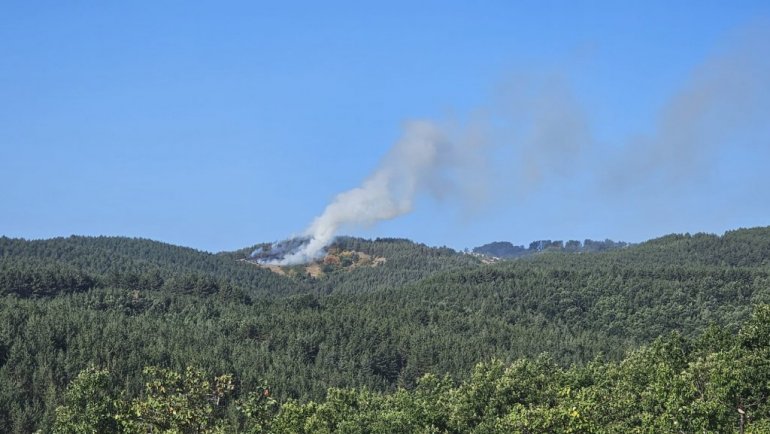 Gornji Milanovac: Gori šuma u Družetićima, meštani se nadaju helikopterima
