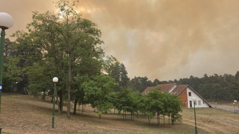 POŽAR IZVAN KONTROLE: Vetar širi požar ka kućama, počela evakuacija meštana - Haos u Šumarku (FOTO/VIDEO)