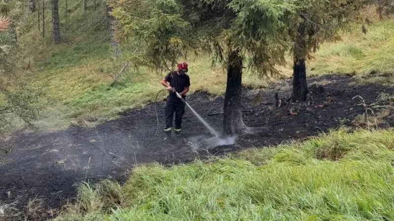 Požari kod Kraljeva pod kontrolom: Vatrogasci i meštani danonoćno na terenu Požari kod Kraljeva pod kontrolom: Vatrogasci i meštani danonoćno na terenu