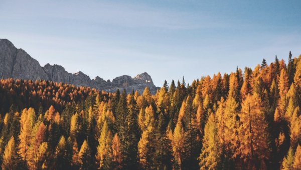 Detaljna prognoza za jesen Detaljna prognoza za jesen