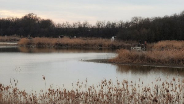 NEKAD PRELEPO JEZERO, A POGLEDAJTE KAKO SADA IZGLEDA: Meštani nadomak Bačke Topole u očaju NEKAD PRELEPO JEZERO, A POGLEDAJTE KAKO SADA IZGLEDA: Meštani nadomak Bačke Topole u očaju