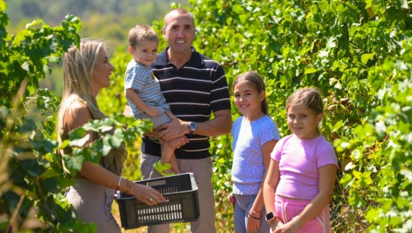 OD ČOKOTA, IZ LJUBAVI, ZA GENERACIJE: Sigurnost od vinograda do boce OD ČOKOTA, IZ LJUBAVI, ZA GENERACIJE: Sigurnost od vinograda do boce
