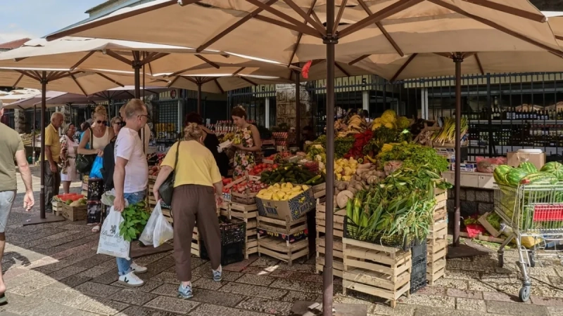 Pale cene poljoprivrednih proizvoda u Srbiji Pale cene poljoprivrednih proizvoda u Srbiji